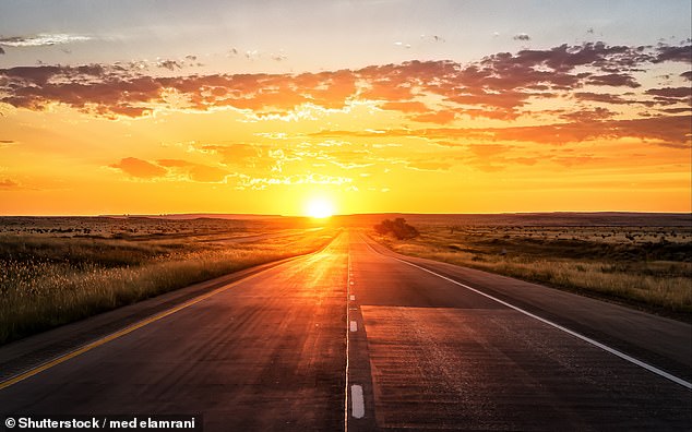 JEFF PRESTRIDGE: Reasons to be cheerful as we head into the new year