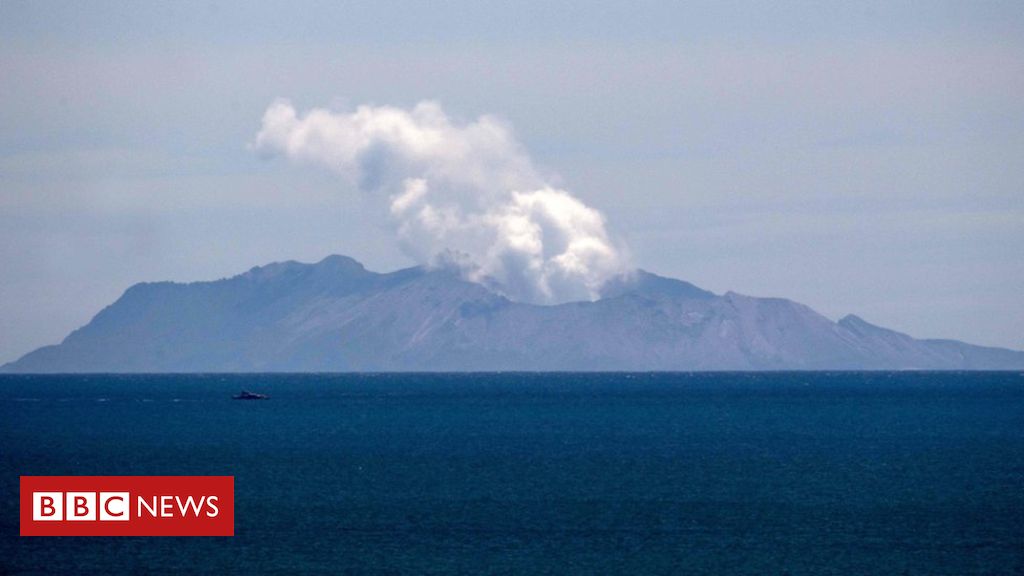 White Island volcano: Why New Zealand is importing skin