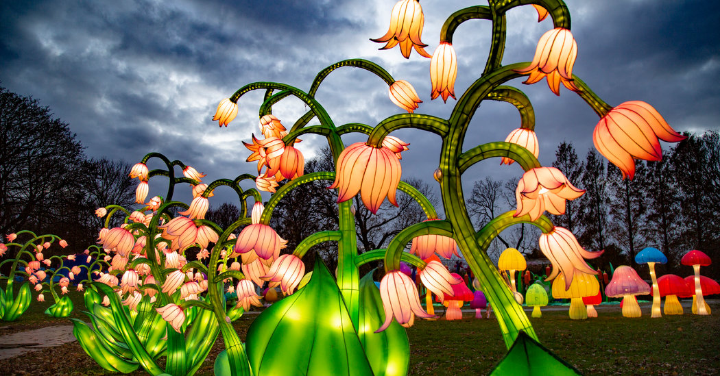 Christmas (on the Cheap) in January