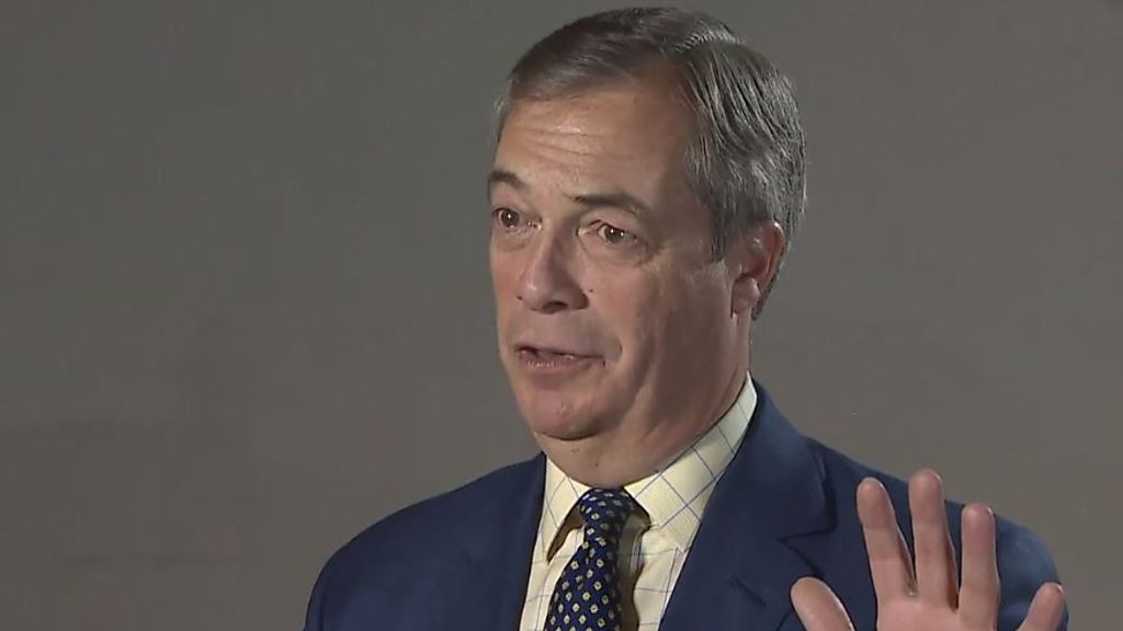 General election 2019: Nigel Farage urges tactical voting to back Brexit