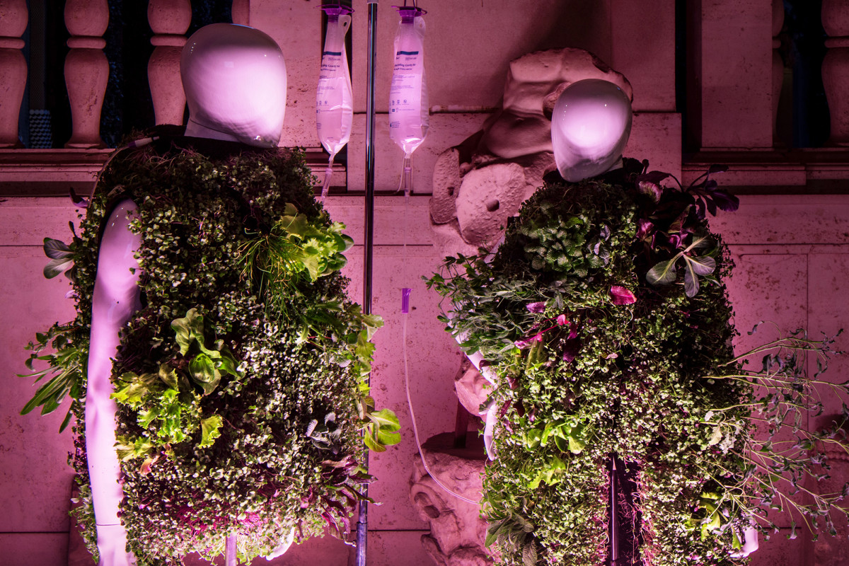 Professor invents wearable garden fertilized by human waste