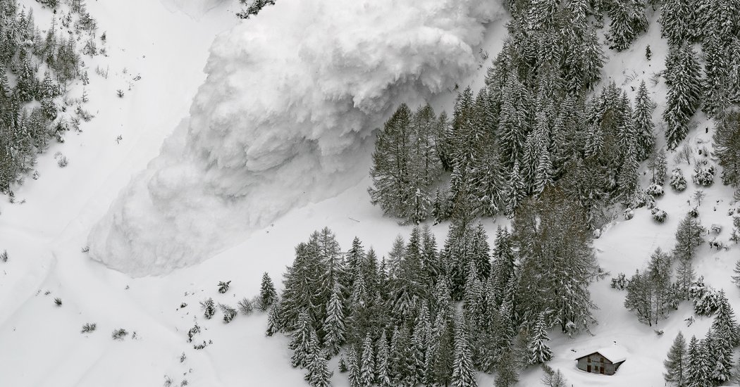 What I Learned in Avalanche School