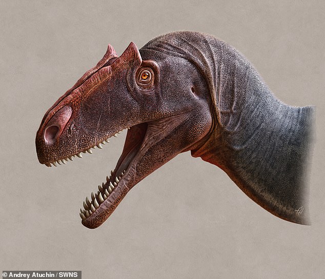 Fearsome meat-eating dinosaur the size of a bus with razor sharp claws recognised as a new species