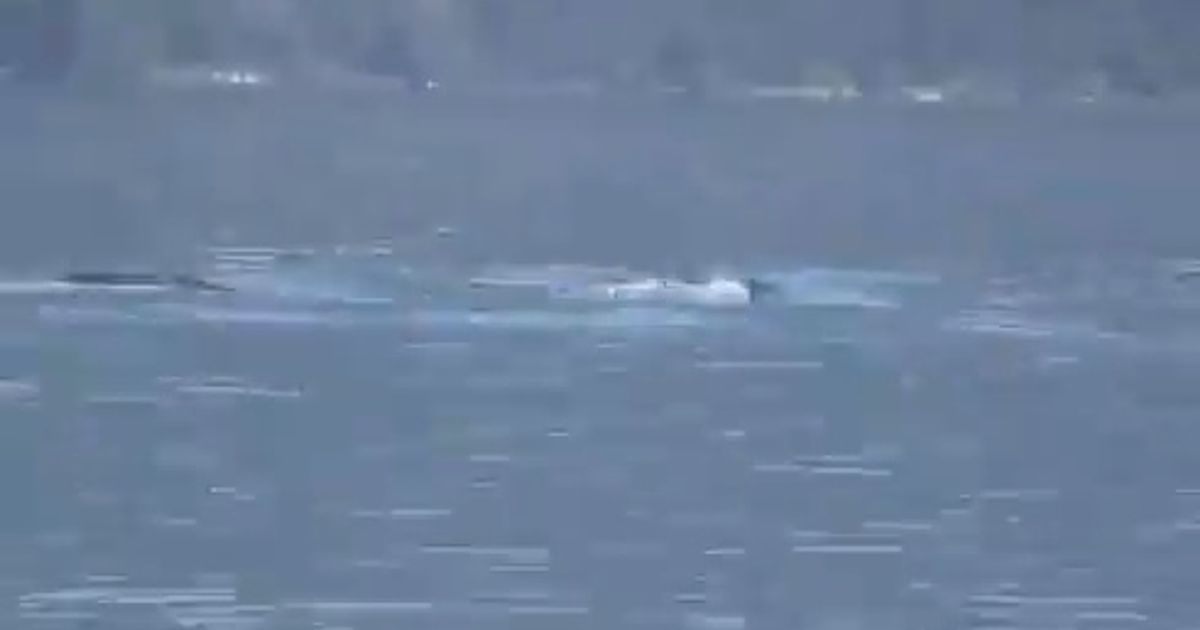 Mystery Loch Ness-style river monster measuring 6 metres long ‘spotted’ in lake