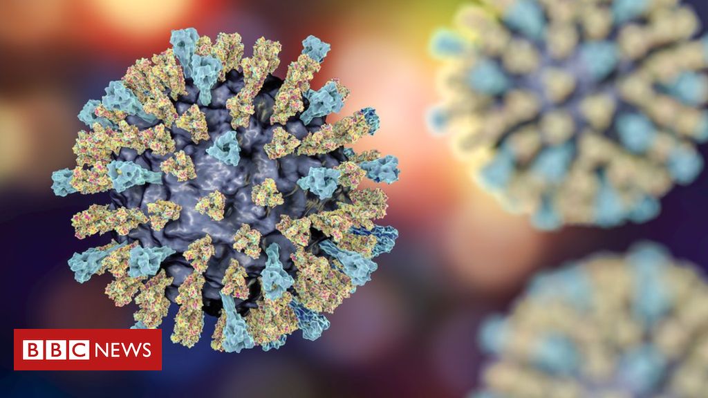 Could relatives of measles virus jump from animals to us?