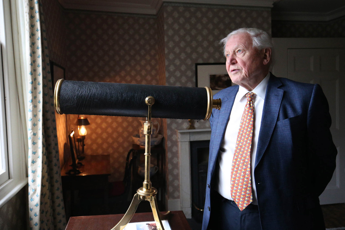 Planet Earth is a facing a ‘disaster’