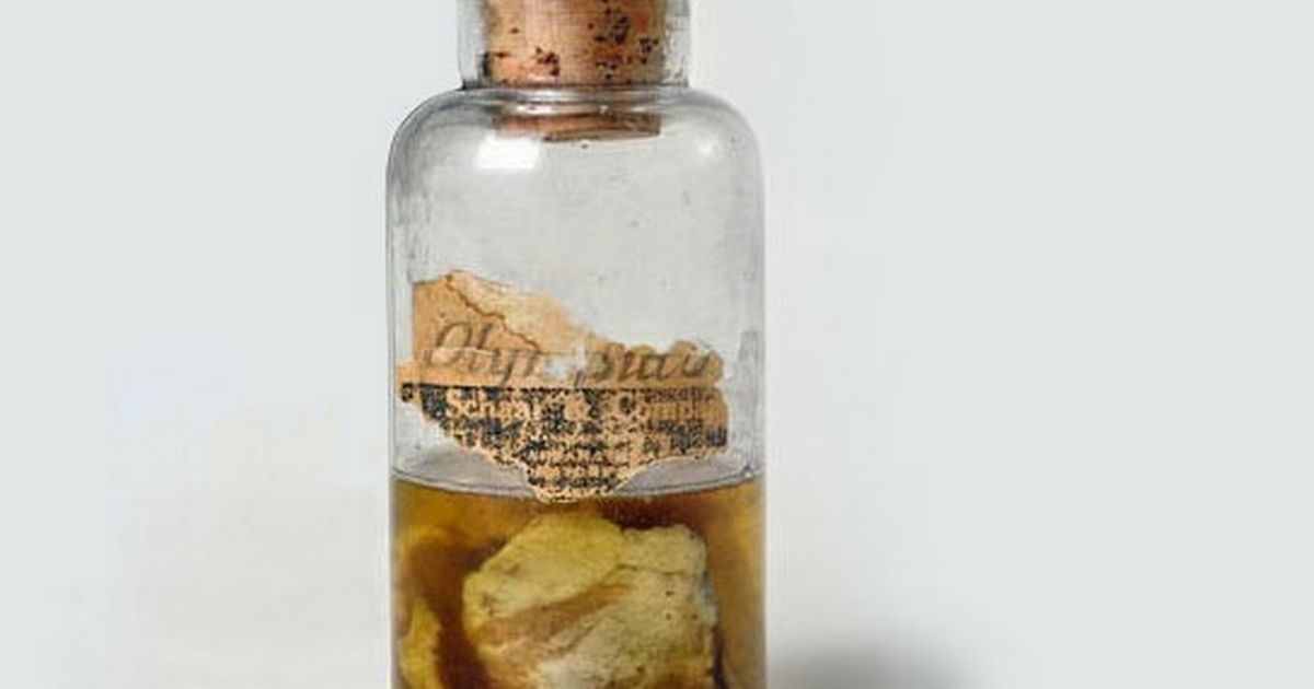 Weirdest weather event in history? The day it mysteriously rained meat