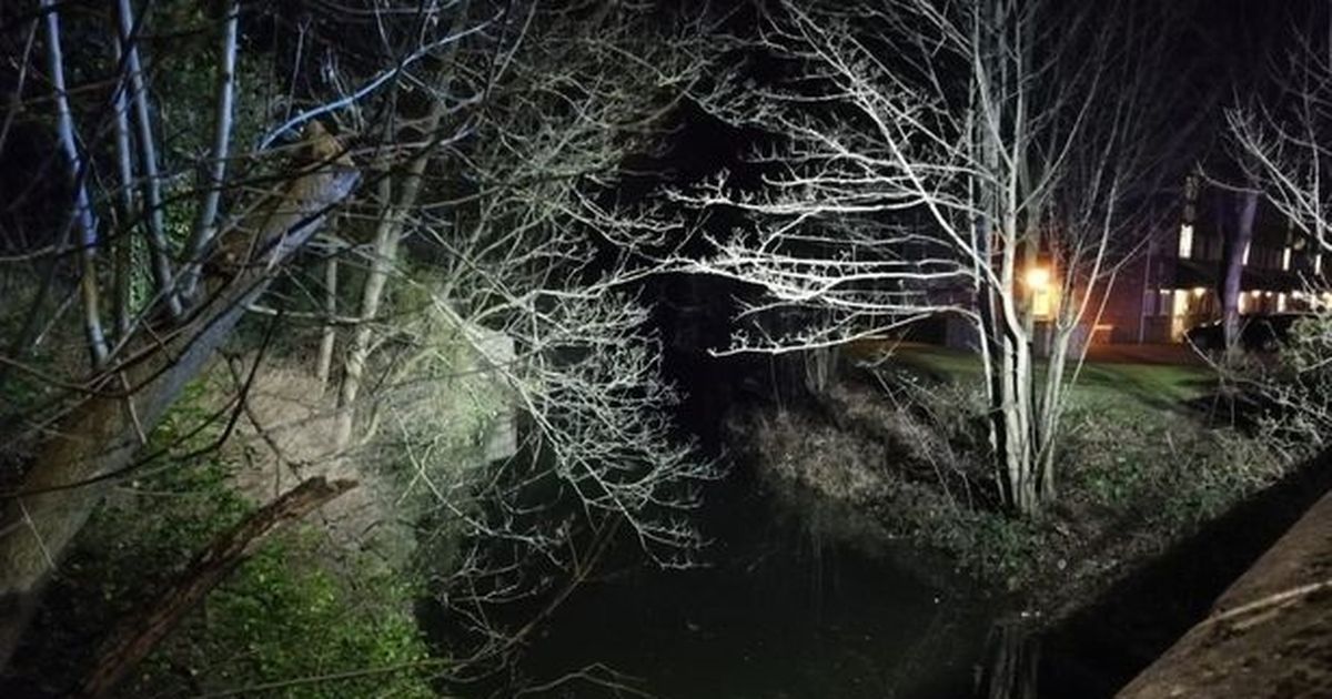 Supernatural hunters launch search for 10ft-tall creature ‘darker than the night’