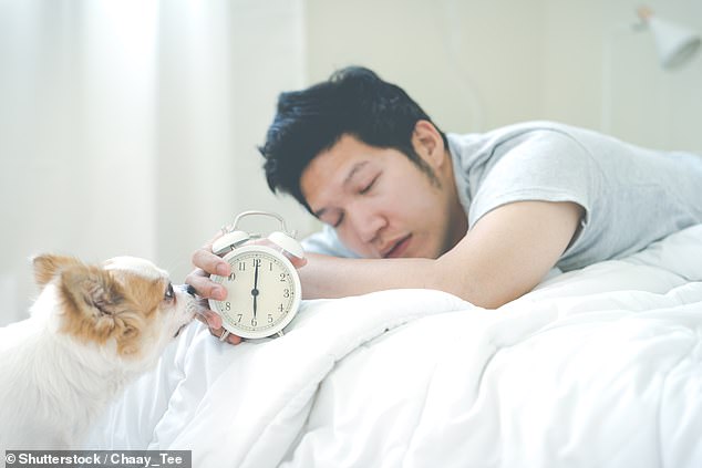 Waking up to the harsh ‘beeping’ of an alarm clock can make you MORE groggy during the day