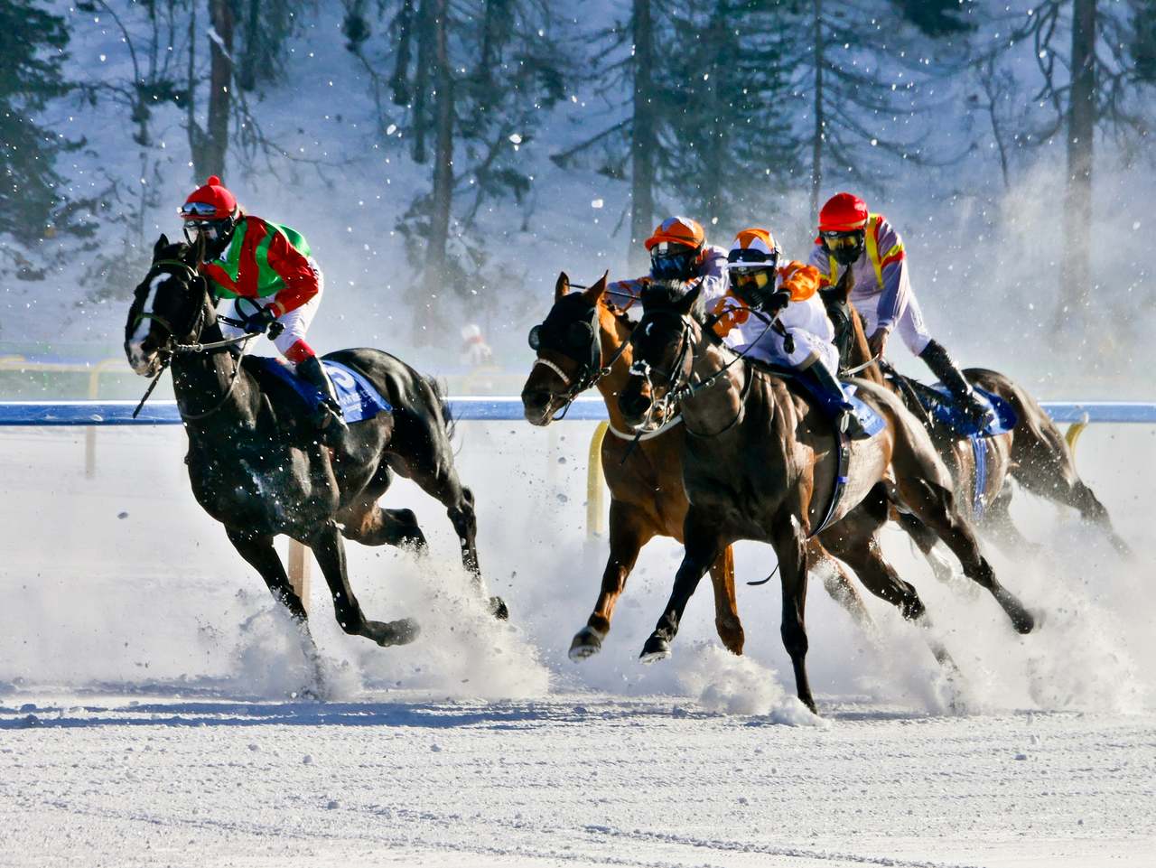 Horse racing on snow – White Turf racing festival, St. Moritz, Switzerland