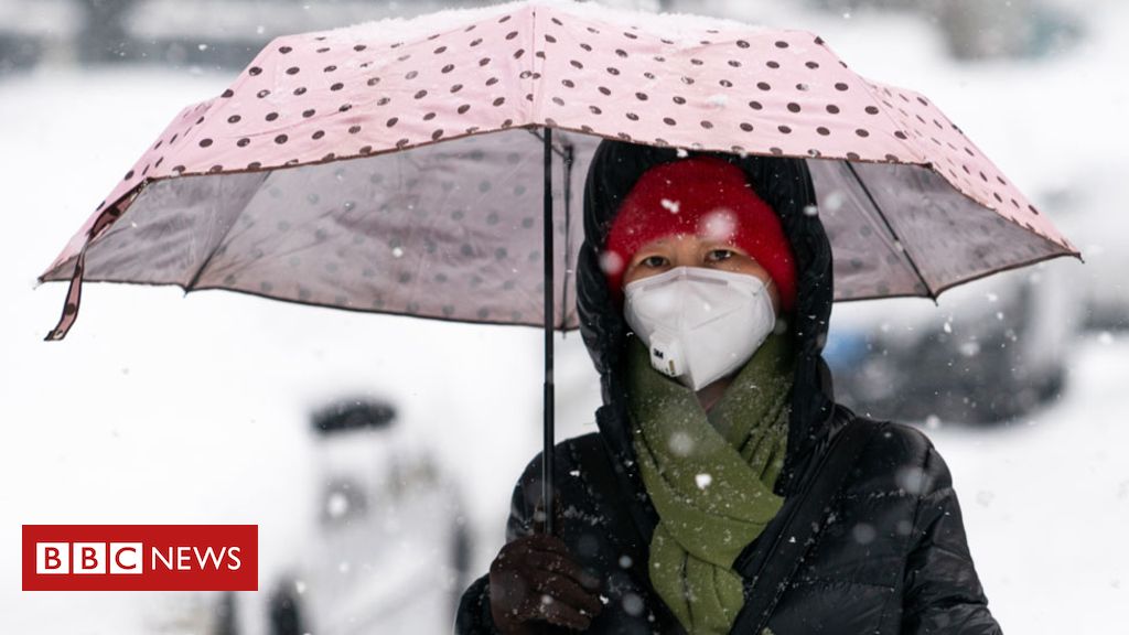 Coronavirus: A visual guide to the outbreak