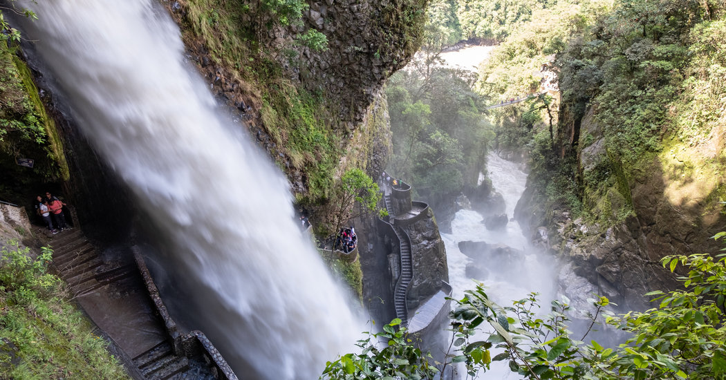 A Giant Swing. Jungle Screaming. Ice Plunges. You’ll Love It.