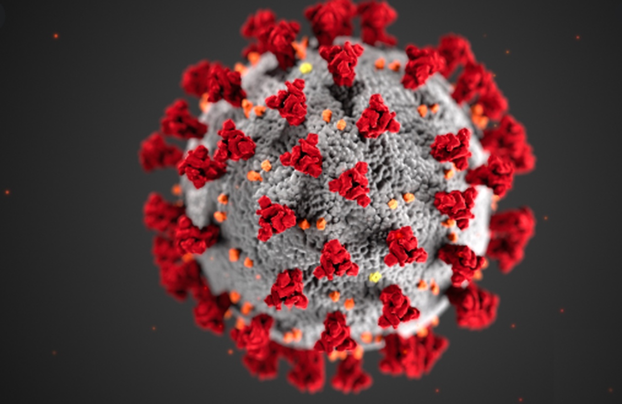 A vaccine for Coronavirus could be available soon say scientists in Israel