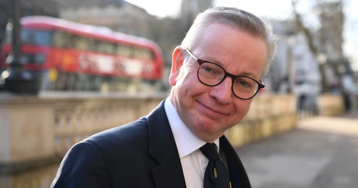 Michael Gove family in coronavirus isolation over daughter’s illness, Sarah Vine says