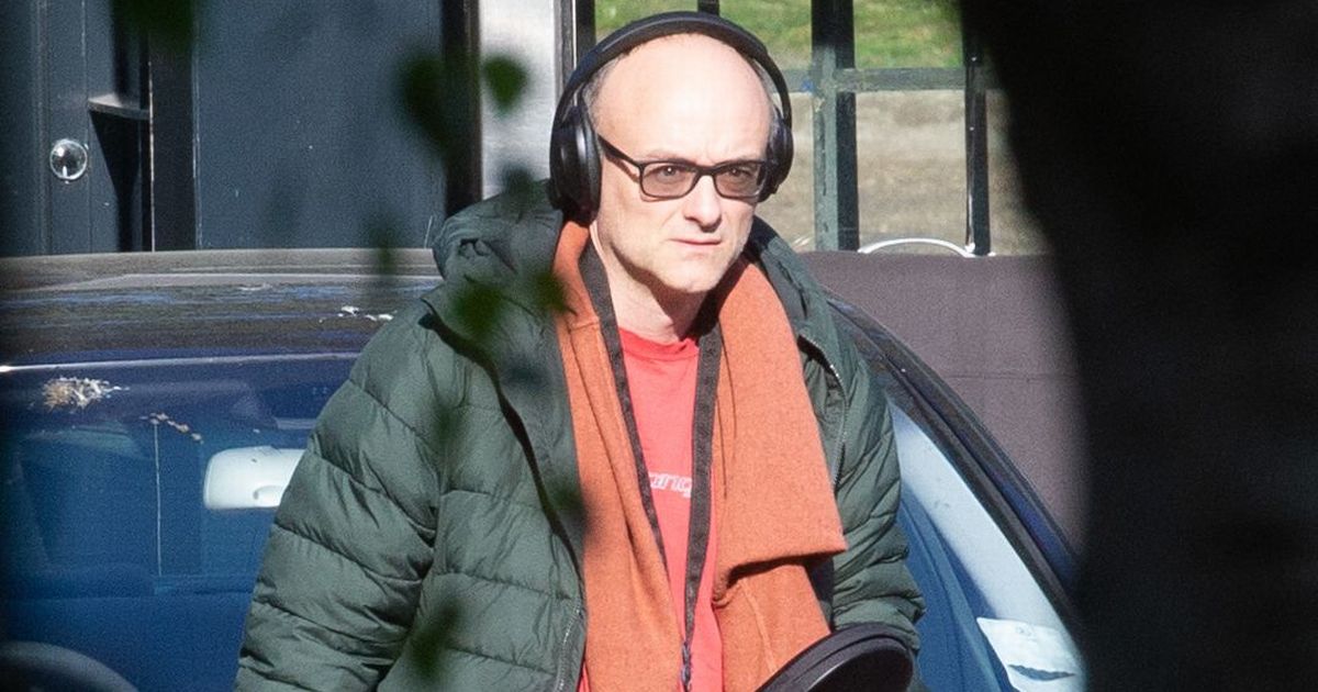 Coronavirus: Dominic Cummings attended meetings of science panel advising UK government