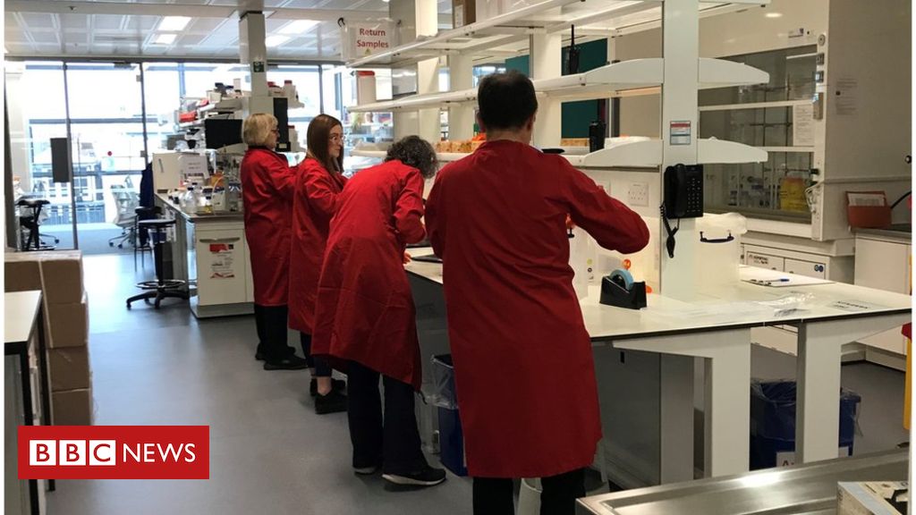 The scientists who made a ‘home-brew’ coronavirus test