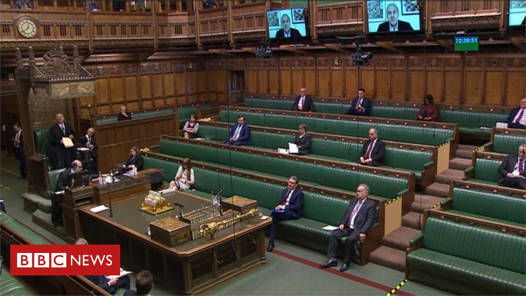 Coronavirus: MPs approve voting from home