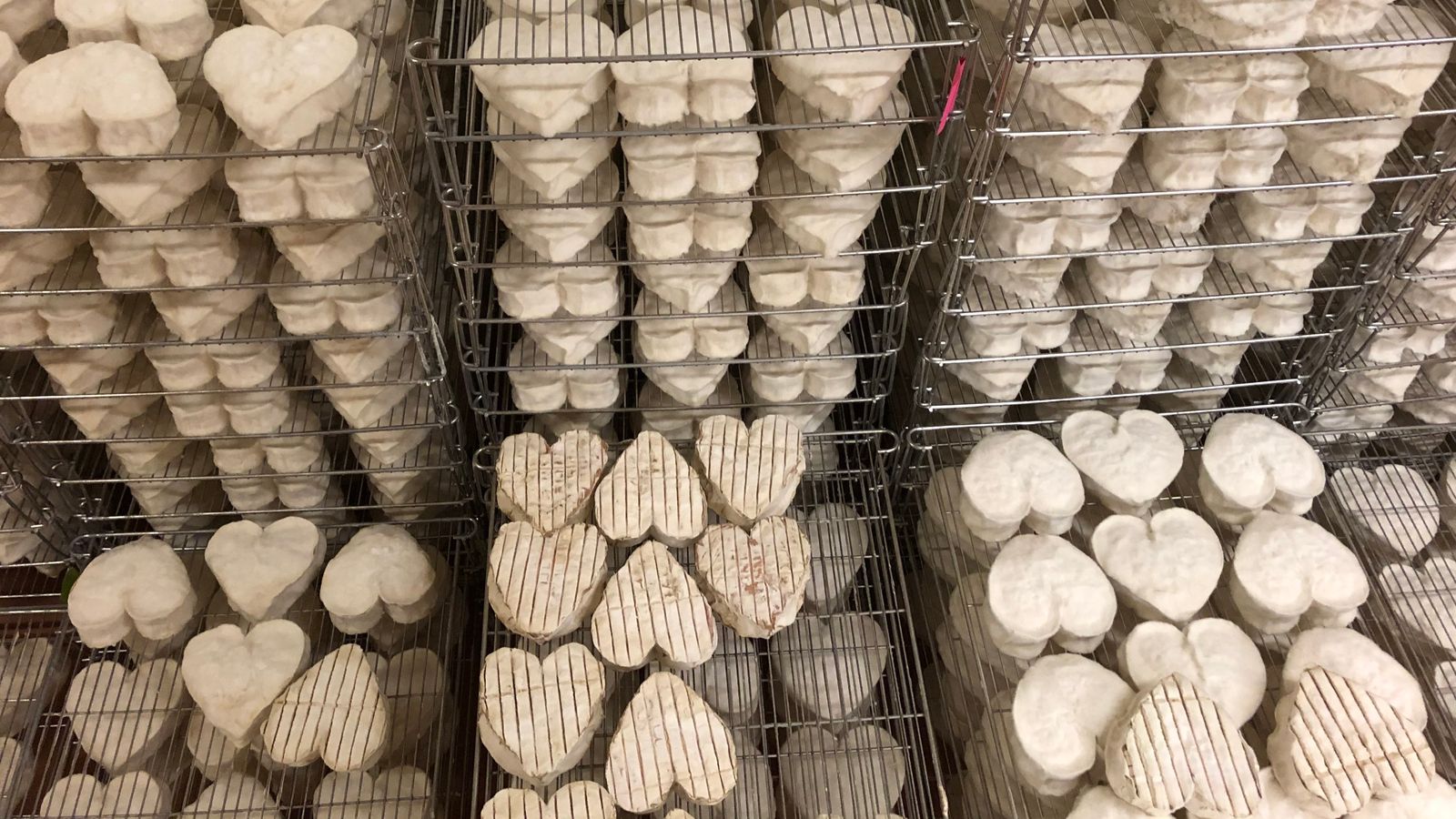 Coronavirus: How the pandemic is ruining the European economy | World News