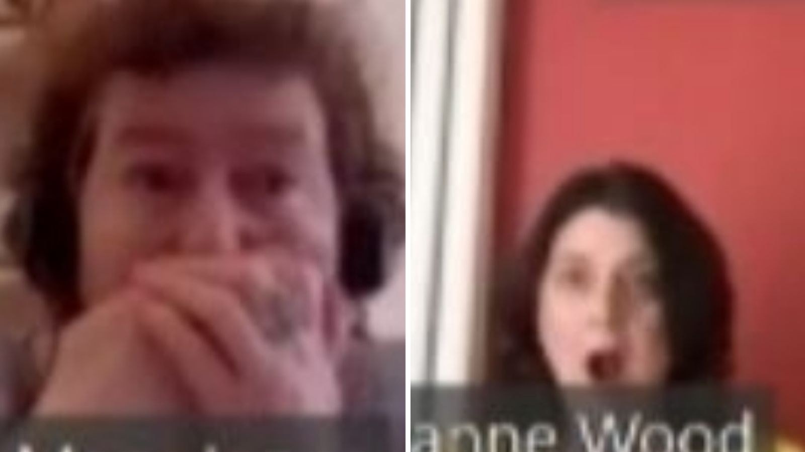 Coronavirus: Welsh health minister Vaughan Gething caught swearing at colleague on virtual Assembly session | Politics News