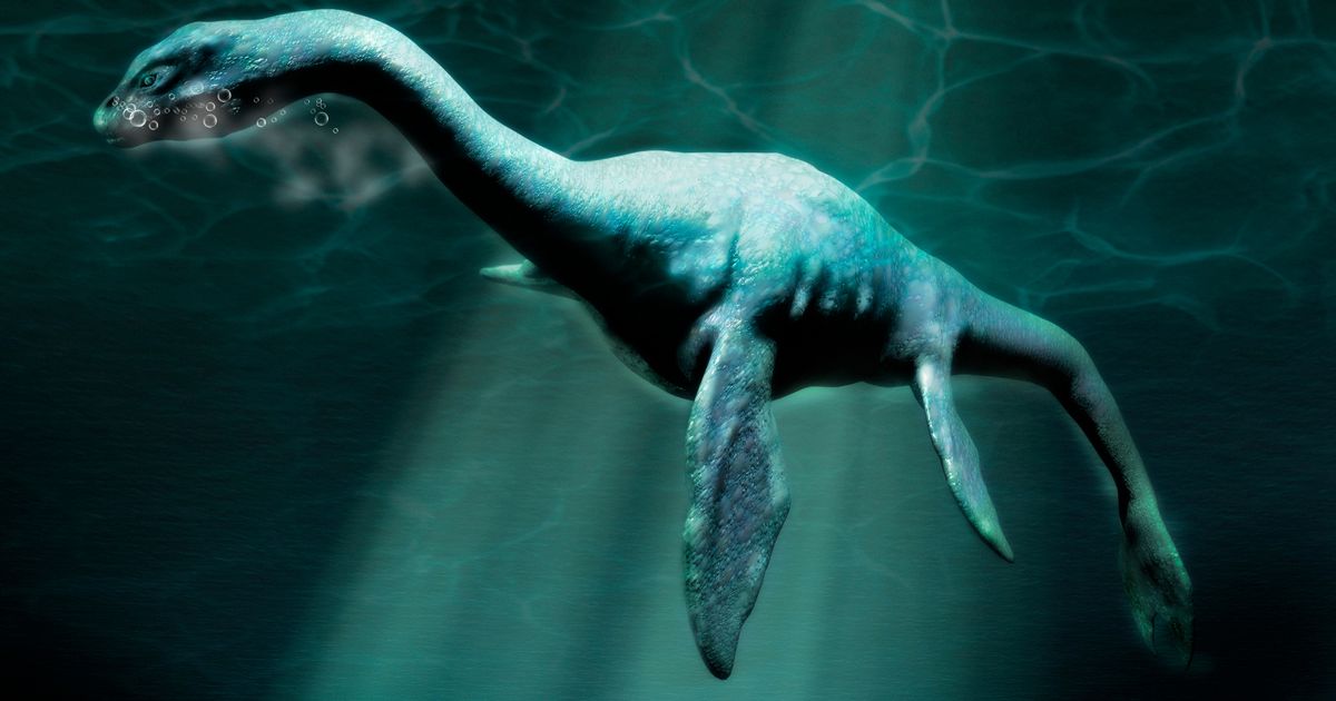 Loch Ness Monster documentary to prove Nessie ‘could be real’ claims top biologist