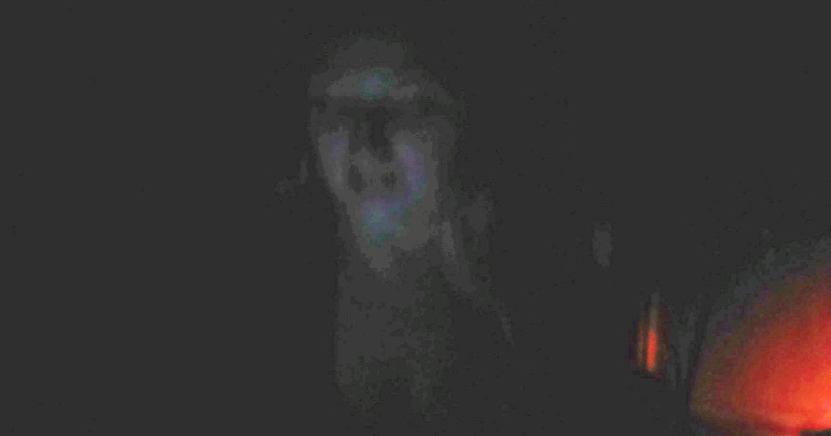 Truth behind snap of ‘Britain’s sexiest ghost’ who haunts museum in low-cut top