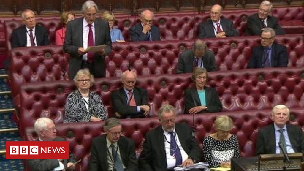 Coronavirus: Daily allowances for Lords members to be halved