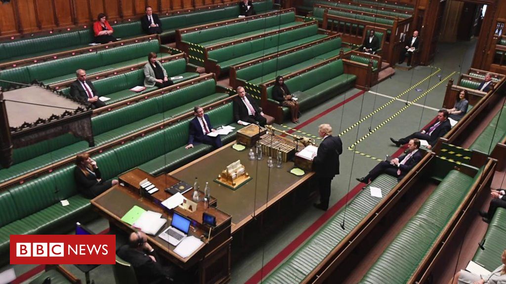 Coronavirus: How a 'virtual Parliament' works