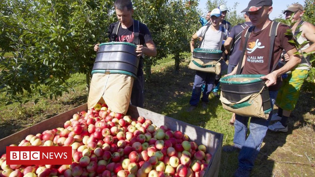 Flagship immigration bill returns to Commons