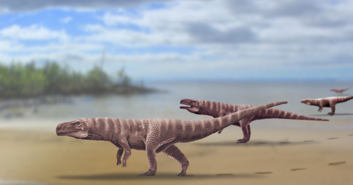 Ancient 120million-year-old crocodile may have walked on its hind legs like a T-Rex