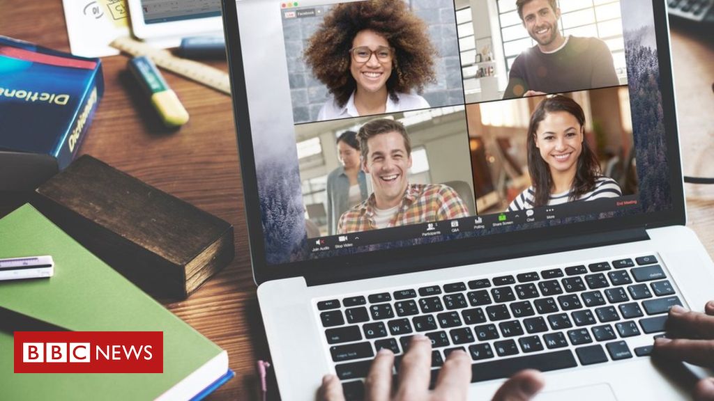 Can Zoom turn popularity into profit?