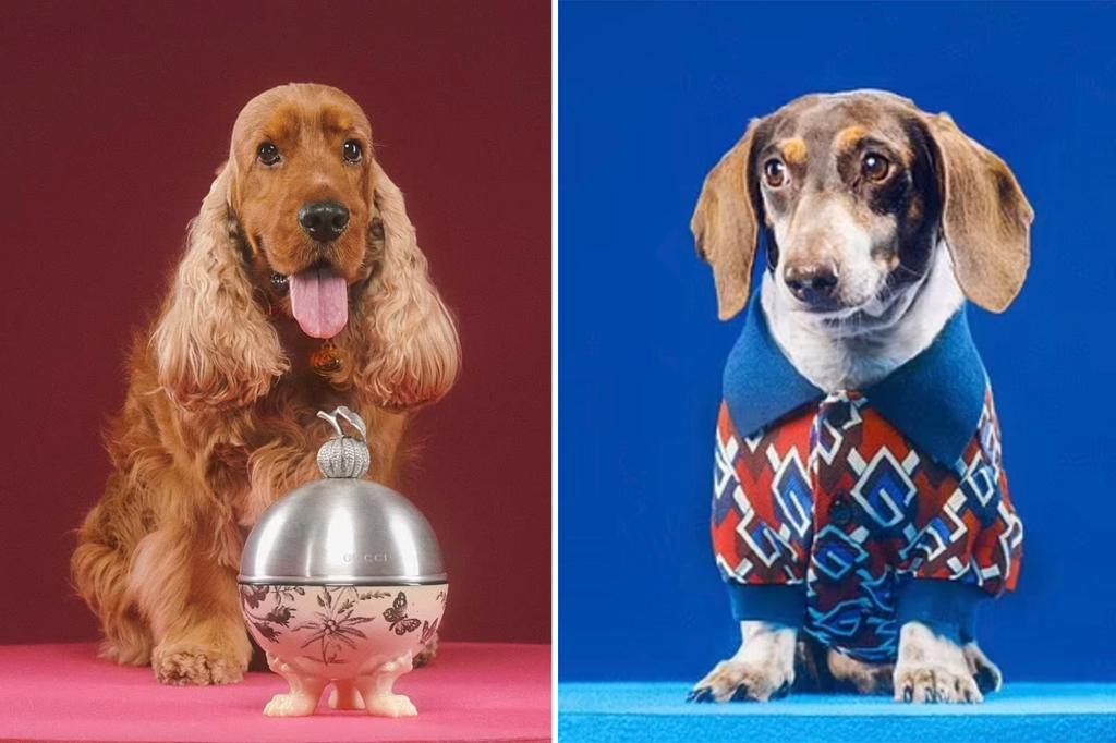 Gucci pet collection includes $7,500 dog bed, $460 poop bag holder