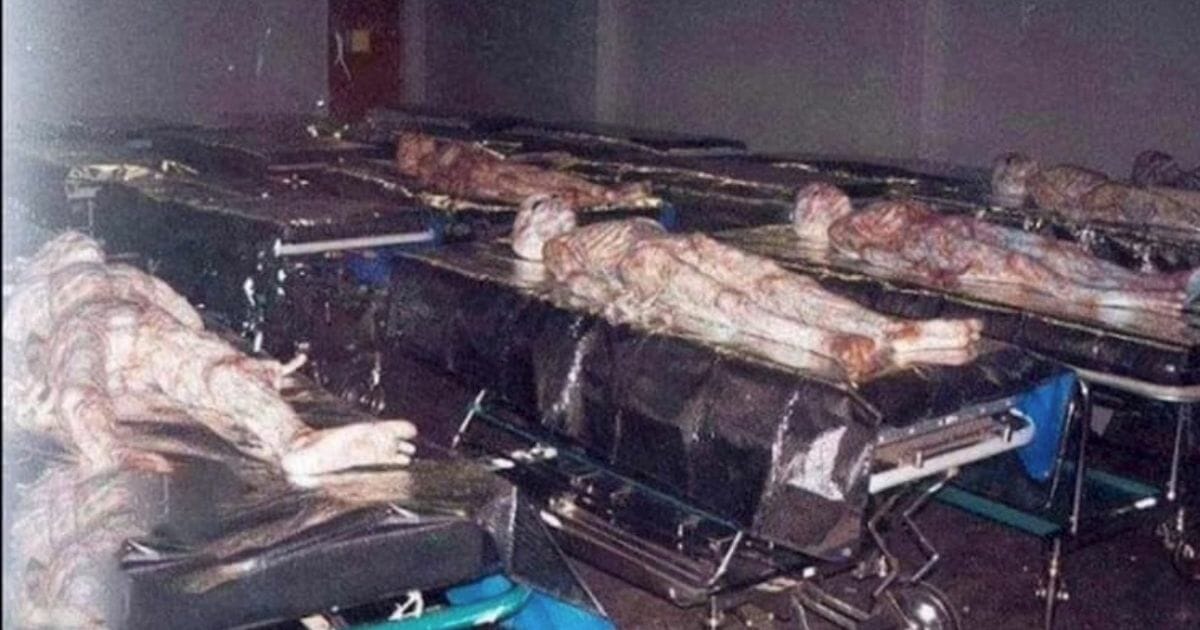 Uri Geller hits back over claims he stole ‘proof of aliens pic’ from The X-Files