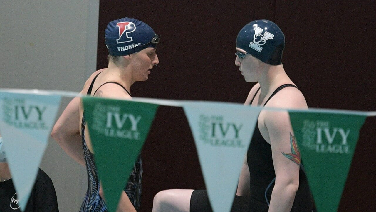 ‘Open category’ for transgender swimmers set for debut at World Cup in Germany