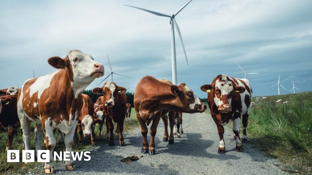 What is net zero and how are the UK and other countries doing?