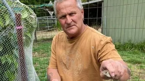 Snake catcher's shock sex dungeon call out saw him leg it in fear of being 'tied up and whipped'