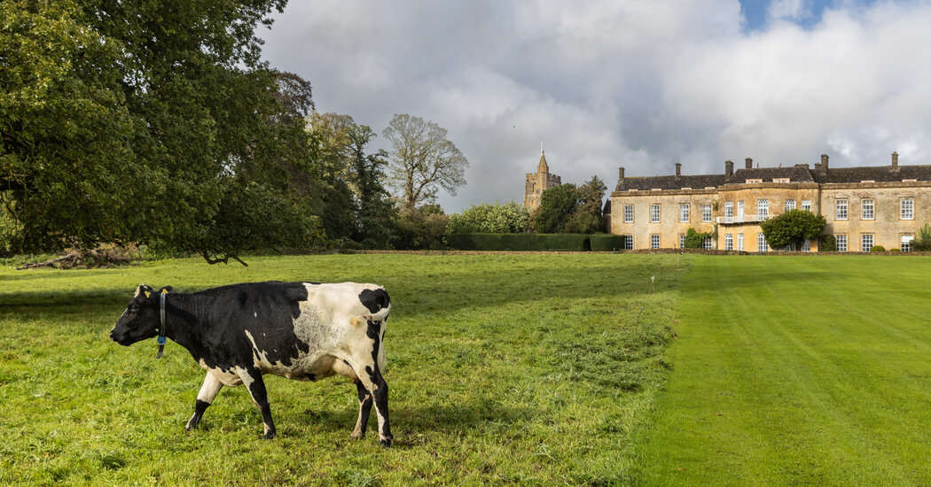 A Tour of British Farmhouse Cheesemaking