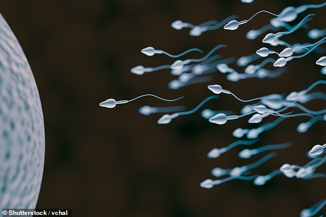 Scientists discover for the first time that sperm defy one of Newton’s laws of PHYSICS