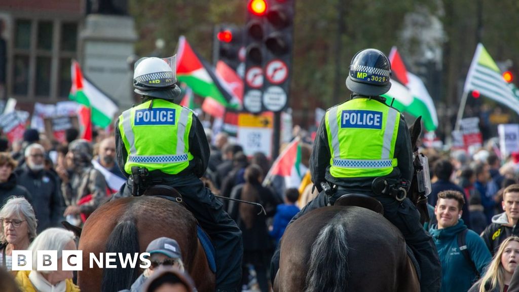 Planned protest on Armistice Day would be disrespectful, says Sunak