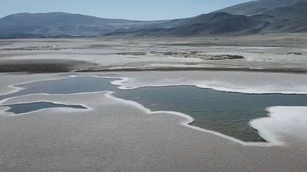 Prehistoric 'lost world' discovered is 'one of best examples of earliest life on Earth'