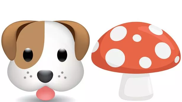'Emojis too biased to animals' as fuming boffins demand more symbols for fungi