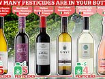 The pesticides in your Pinot Grigio: Study reveals more than HALF of wines sold on the British high street contain toxic chemicals – so, is your favourite bottle affected?