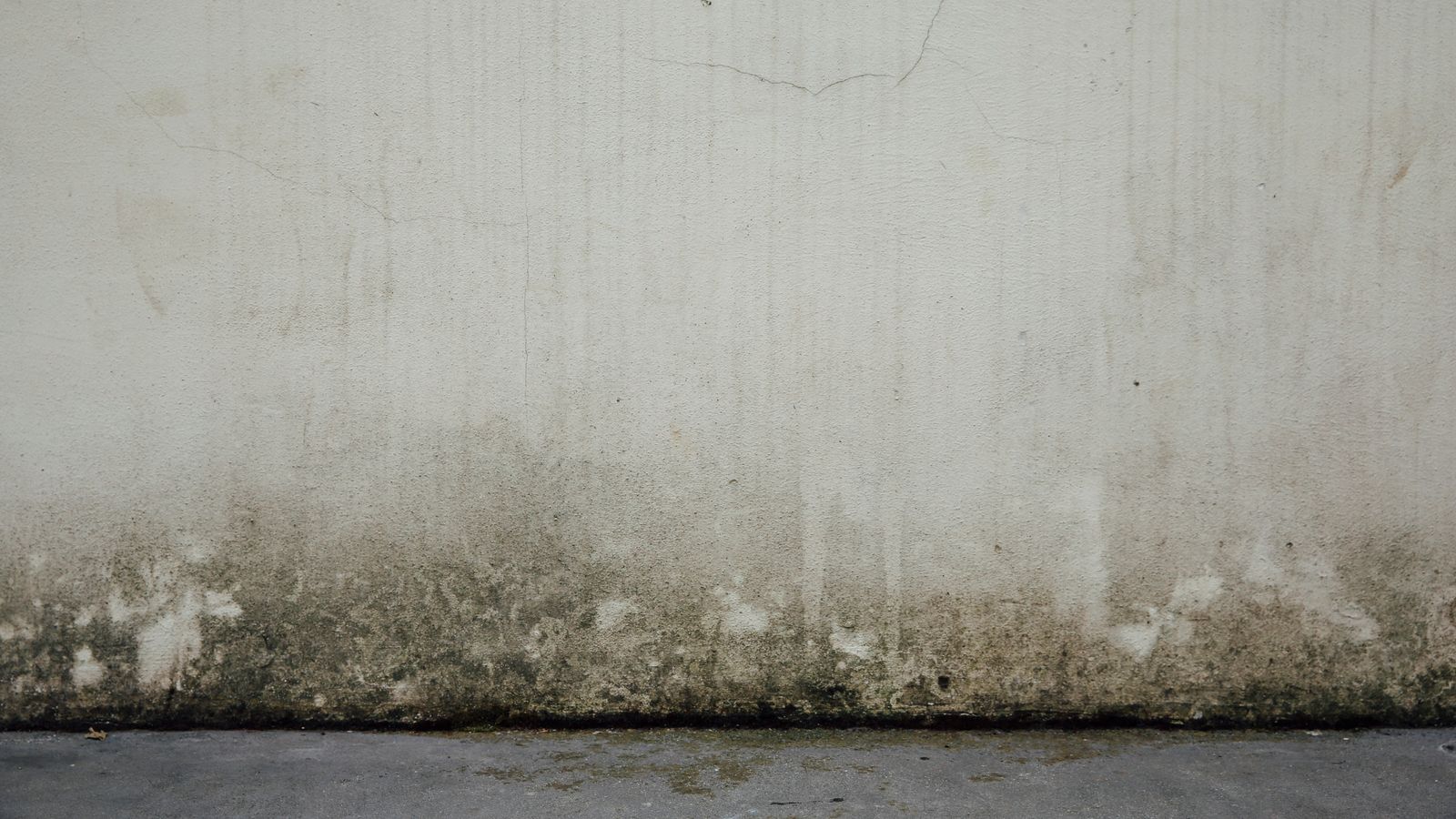 Almost a third of UK living in mouldy or damp homes, Warm This Winter campaign group says | Business News