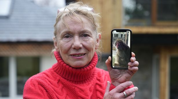 Woman who caught runaway monkey 'Kingussie Kong' lured it with Yorkshire pudding