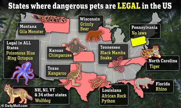 The monsters next door: Map reveals where dangerous pets including White Rhinos, venomous Gila monsters and Kangaroos are being kept as PETS in the US