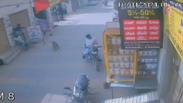 Monkey brutally attacks child on street as cruel passers-by refuse to help