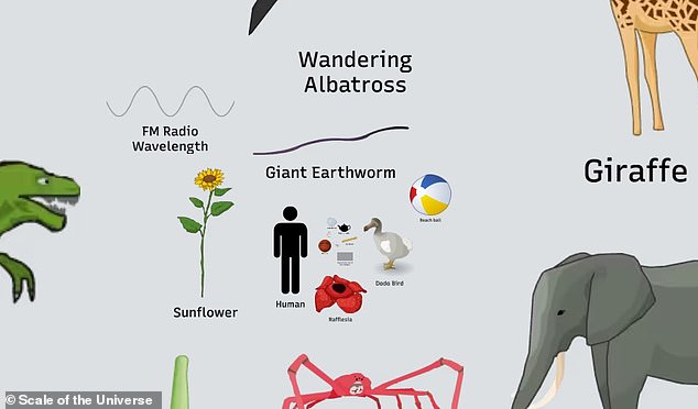 How big is the universe? Mind-boggling interactive map reveals the sheer scale of objects across the cosmos – with more Suns than grains of sand on Earth