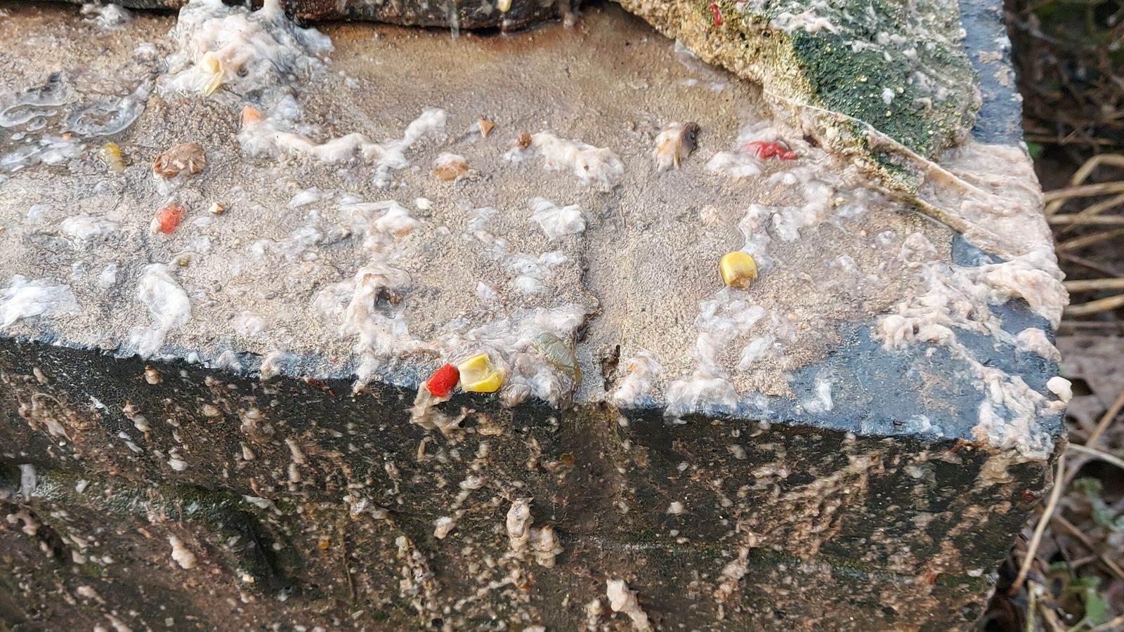 ‘Shocking’ incidents of sewage spewing into gardens and streets – with disease outbreaks ‘very possible’ | Climate News