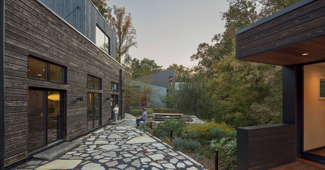 How Do You Turn ‘Urban Decay’ Into a Garden?