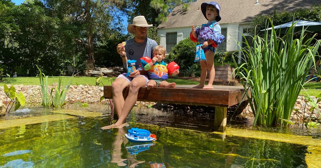 Natural Pools, Also Known as Recreational Ponds, Trade Chlorine for Plants