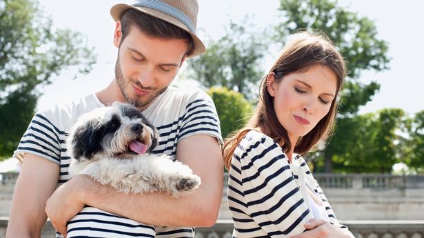 'My wife is leaving me because of what I did to my stepson's hellhound dog'